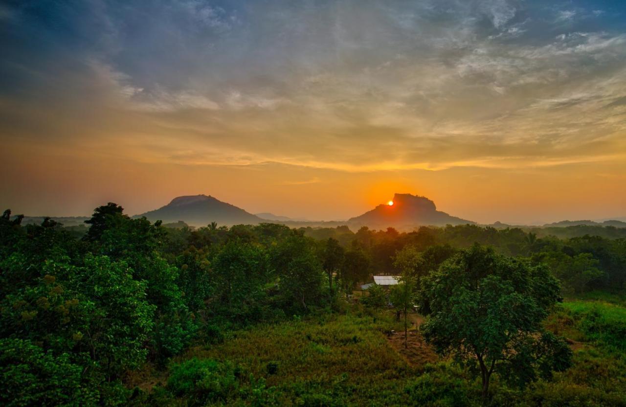 Choona Lodge 'View Of Sigiriya & Pidurangala With Sunrise' Dış mekan fotoğraf